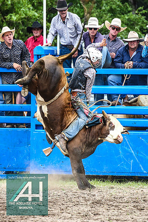 MoruyaRodeo2018_1845