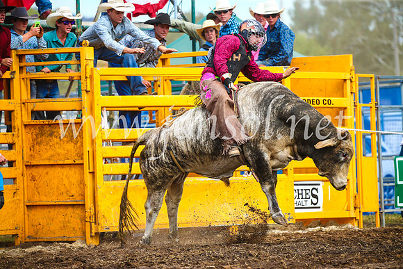 QueanbeyanRodeo2017_2809