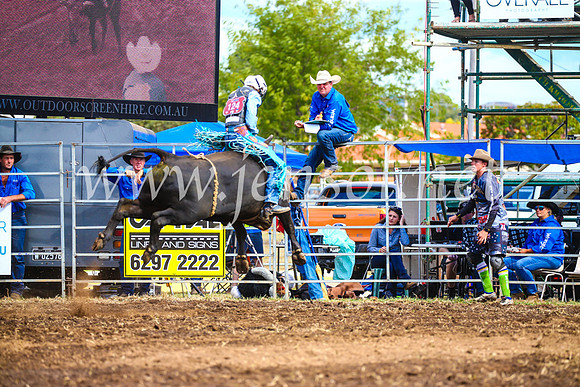 QueanbeyanRodeo2017_2728