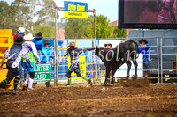 QueanbeyanRodeo2017_2587