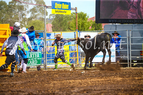 QueanbeyanRodeo2017_2587