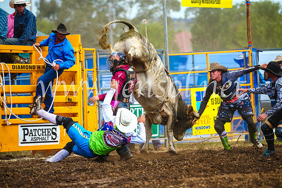 QueanbeyanRodeo2017_2870