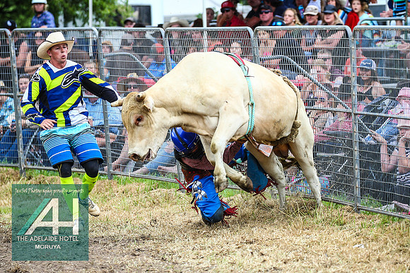 MoruyaRodeo2018_2125