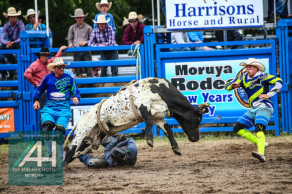 MoruyaRodeo2018_2162