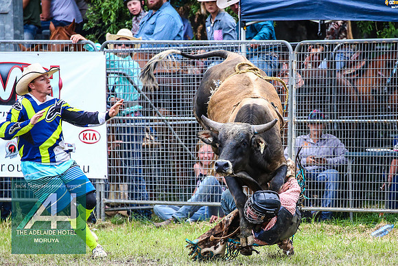 MoruyaRodeo2018_2891