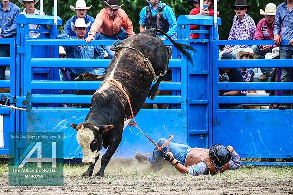 MoruyaRodeo2018_1967