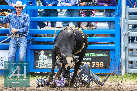 MoruyaRodeo2018_2916