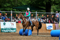 BattleFinals_4983
