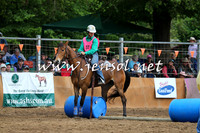 BattleFinals_4984