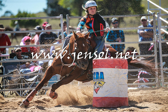 BraidwoodRodeo2016_2520