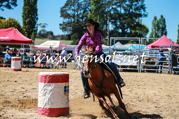 BraidwoodRodeo2016_2720
