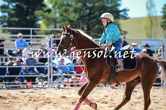 BraidwoodRodeo2016_2614