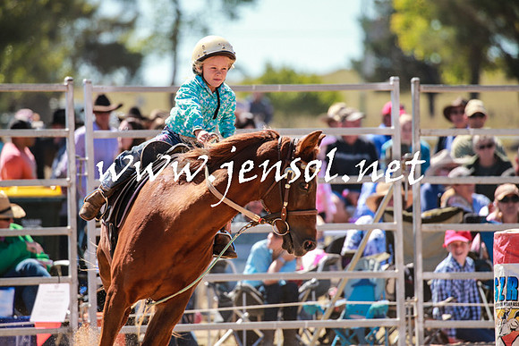 BraidwoodRodeo2016_2603