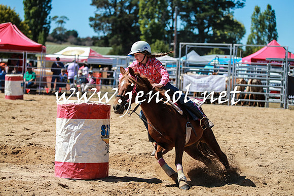BraidwoodRodeo2016_2589