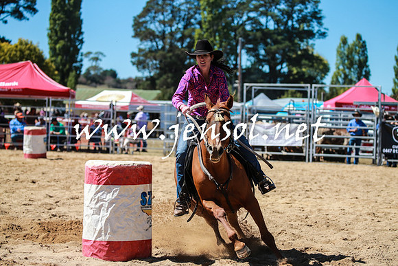 BraidwoodRodeo2016_2721