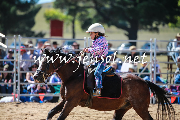 BraidwoodRodeo2016_2537