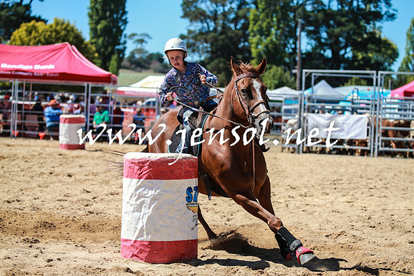 BraidwoodRodeo2016_2687