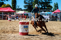 BraidwoodRodeo2016_2406