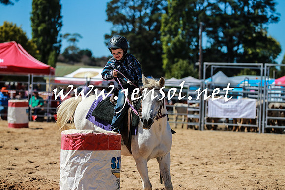 BraidwoodRodeo2016_2653