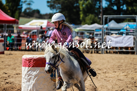 BraidwoodRodeo2016_2704