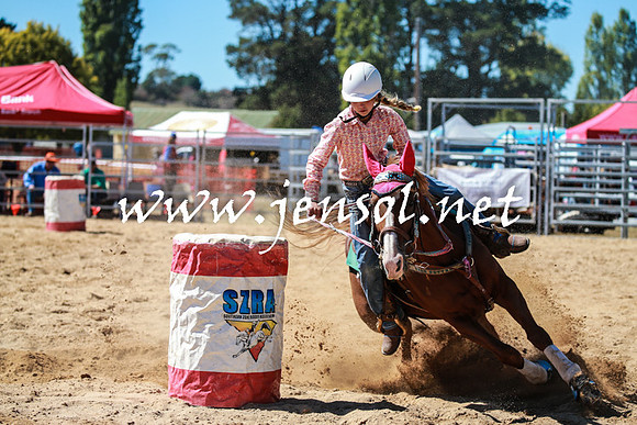 BraidwoodRodeo2016_2472
