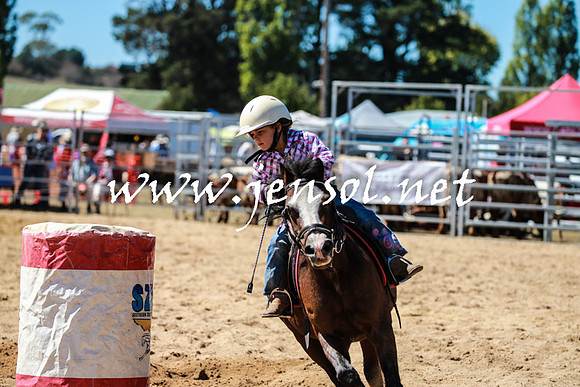 BraidwoodRodeo2016_2533