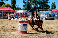 BraidwoodRodeo2016_2407