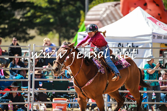 BraidwoodRodeo2016_2699