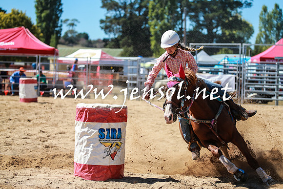 BraidwoodRodeo2016_2477
