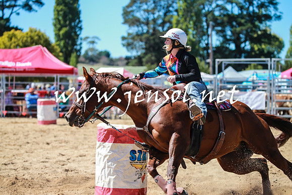 BraidwoodRodeo2016_2515
