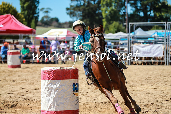 BraidwoodRodeo2016_2611