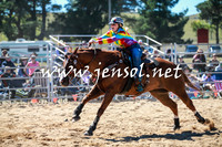 BraidwoodRodeo2016_2392