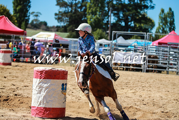 BraidwoodRodeo2016_2565