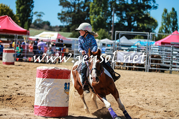 BraidwoodRodeo2016_2563