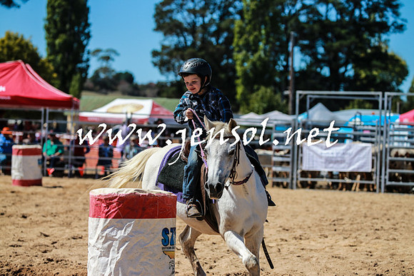 BraidwoodRodeo2016_2657