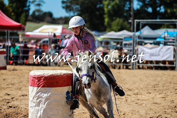 BraidwoodRodeo2016_2706