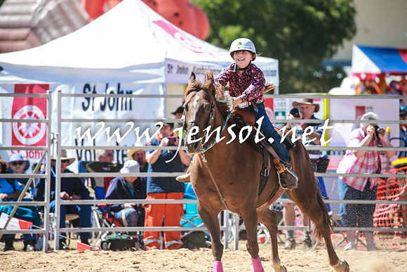BraidwoodRodeo2016_2559