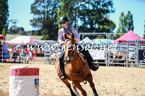 BraidwoodRodeo2016_2541