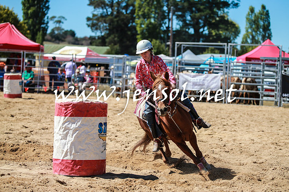 BraidwoodRodeo2016_2592