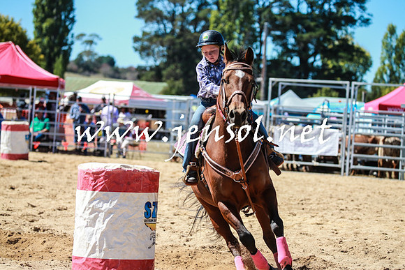 BraidwoodRodeo2016_2581