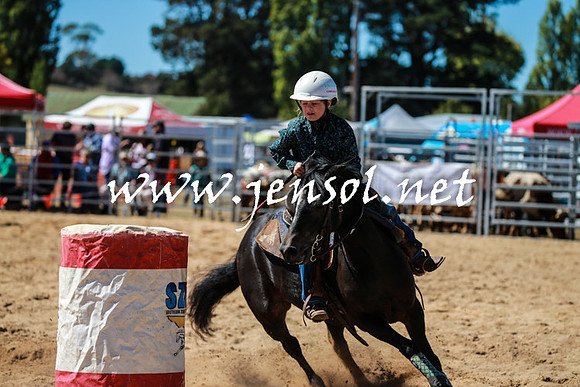 BraidwoodRodeo2016_2638