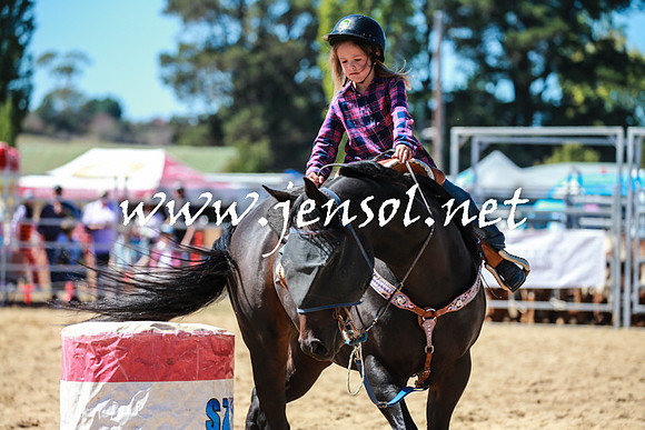 BraidwoodRodeo2016_2616