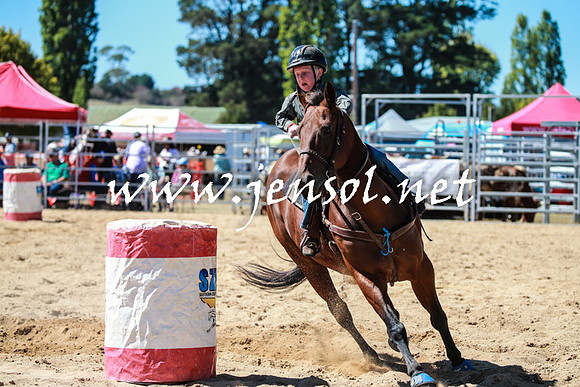 BraidwoodRodeo2016_2576