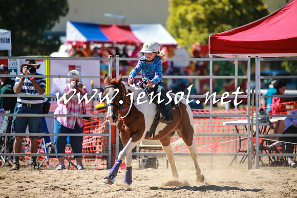BraidwoodRodeo2016_2573