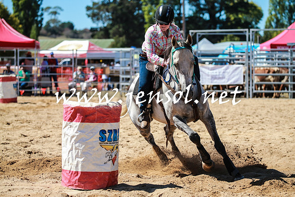 BraidwoodRodeo2016_2524