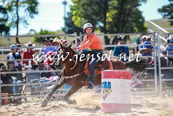 BraidwoodRodeo2016_2499