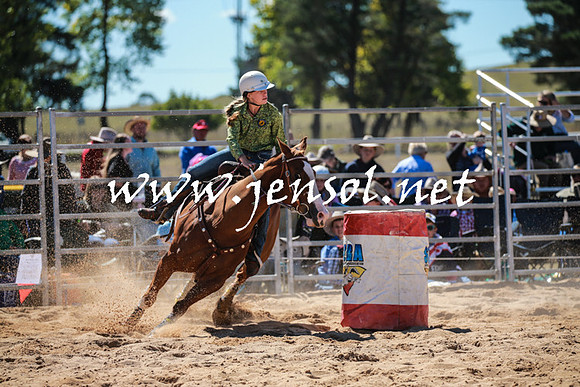 BraidwoodRodeo2016_2361