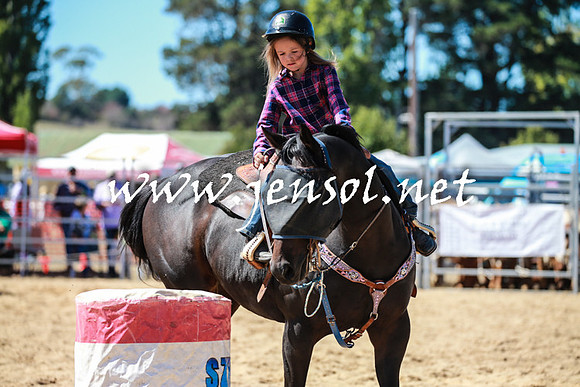 BraidwoodRodeo2016_2619