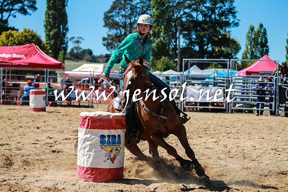 BraidwoodRodeo2016_2447