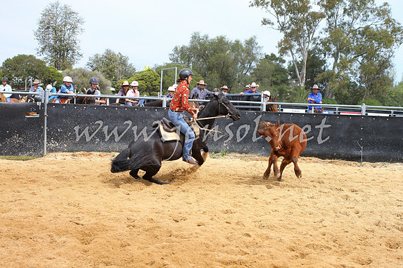 CowraCampdraft_1002